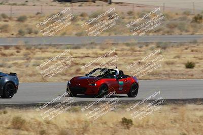 media/Mar-08-2025-Extreme Speed (Sat) [[4abb97269e]]/Blue/Turns 2  and  4 (Session 2)/